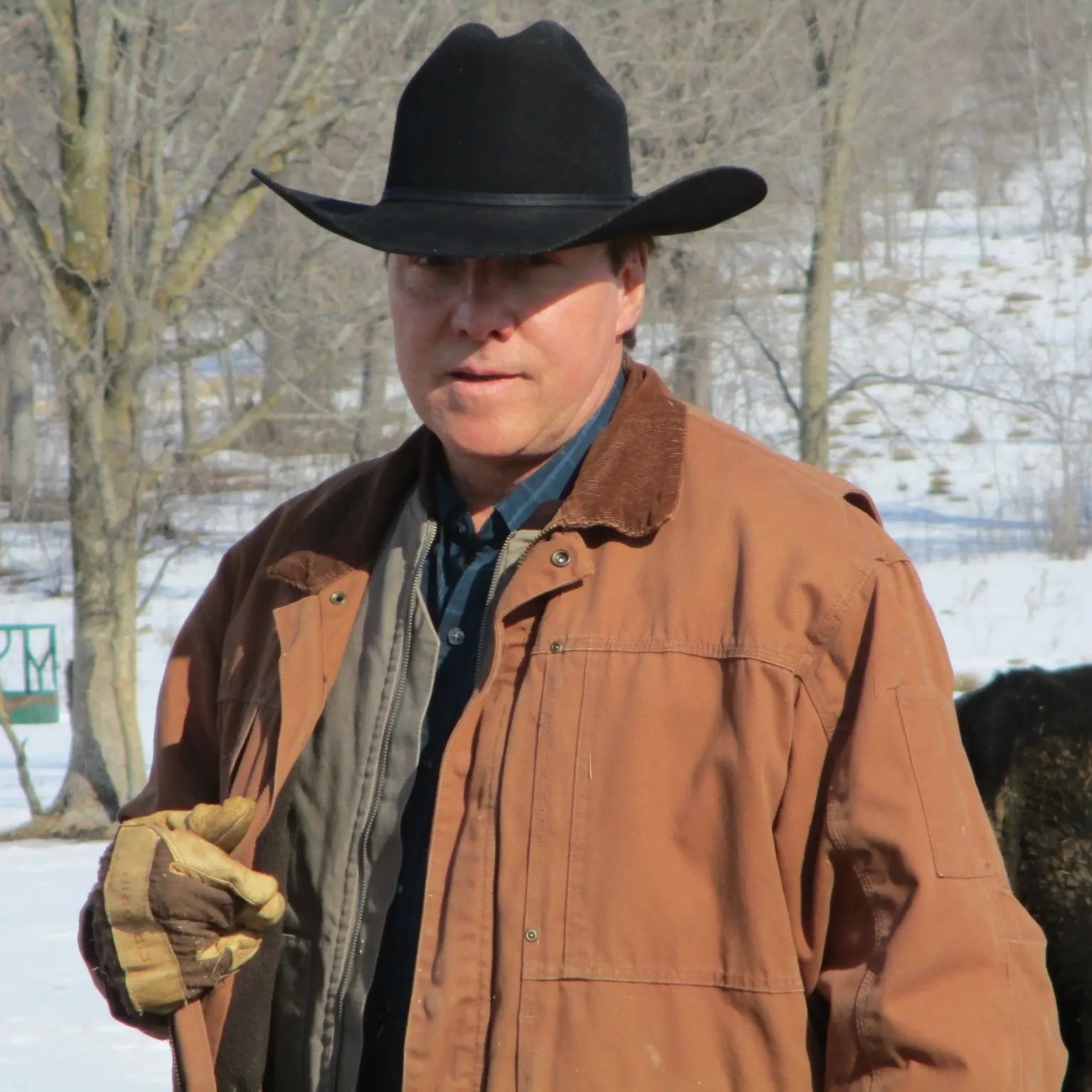 Joe in the pasture